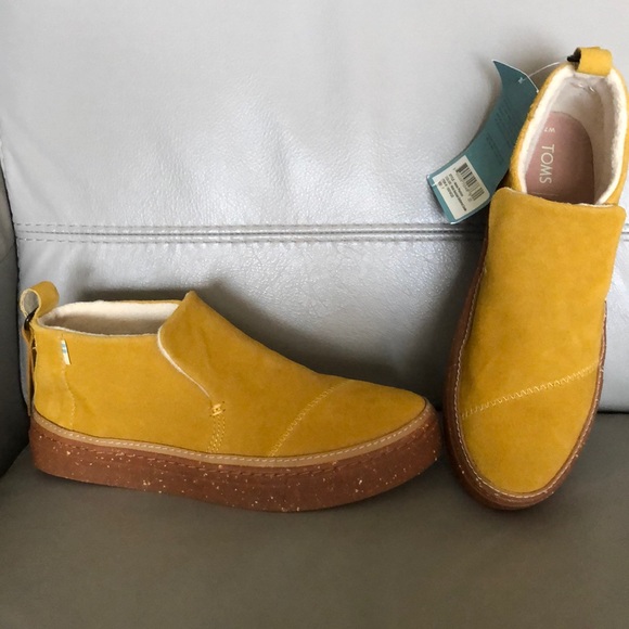 Women’s Toms Paxton Shoes - Size 7 - Picture 1 of 5